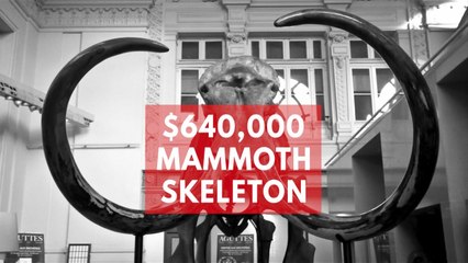 Ancient woolly mammoth skeleton sells for record price in France