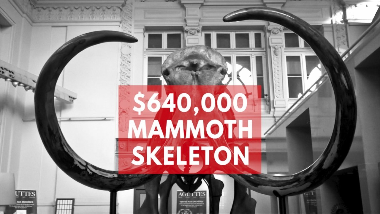 Ancient woolly mammoth skeleton sells for record price in France