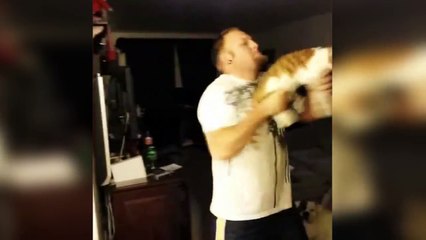 اجمل لقطات القطط مضحك جدا