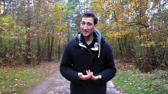 La mystérieuse Forêt tordue Une histoire sur Terre