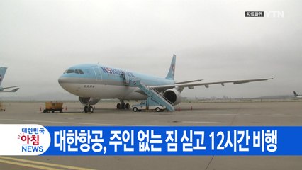 [YTN 실시간뉴스] 대한항공, 주인 없는 짐 싣고 12시간 비행 / YTN