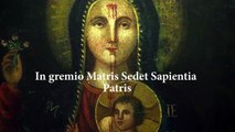 PREGHIERA DELLA NOTTA ALLA MADONNA : Associazione Madonna dei Debitori