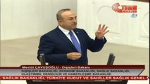 Bakan Mevlüt Çavuşoğlu: 