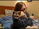 Girlfriend Surprised With New Cat After Voluntarily Rehoming Her Last Cat
