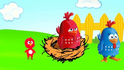 GALINHA PINTADINHA PROCURA PINTINHO AMARELINHO PERDIDO!-4OtWUYSjiB8