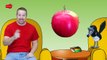Wheels on the Bus | Fruit Magic + MORE English Stories for Kids | Steve and Maggie | Wow English TV