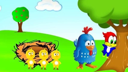 PICA PAU BEBÊ NASCE E GALINHA PINTADINHA E PINTINHO AMARELINHO FICAM CONFUSOS!-mw46KJCdiGg