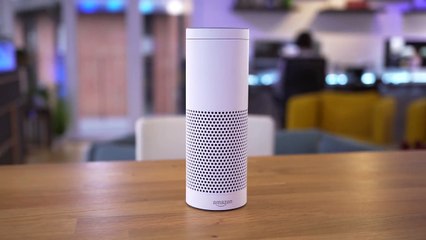 Alexa vs. Alexa: Welcher Echo ist der richtige für dich? - felixba