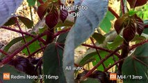 Xiaomi Mi4 vs Redmi Note 3 - Camera test (English Sub)-TC7hiaYySO0
