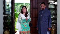 Gustakh Ishq - Last Episode 24 - Urdu1 ᴴᴰ Drama - Iqra Aziz, Noor Khan, Zahid Ahmed