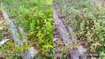 Xiaomi Redmi Note 4 vs Redmi Note 3 Pro Camera Comparison Test Indonesia (English Subtitle)-Km9glCYVhzs