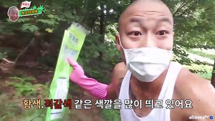 윽박 - -독버섯을 찾는중에 나타난 뱀 '자연속의 맹독' (eugbak poisonous mushroom & snake)-u-zgxE6AEU4