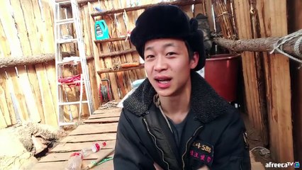 윽박 - - 자연인 명순이(핏불테리어)를 훈련 시키는 방법 참교육 당하는 윽박...-Zl1xSO8EHyc