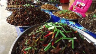 캄보디아 독거미 마을의 인기 음식, 거미 튀김!-gDDvl-PIupU