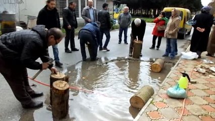 Mantar Üreticileri Kredi Bekliyor