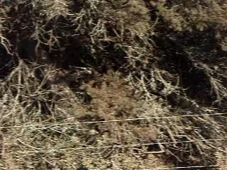 sisi kx!!!!!!!!!!!!!!!