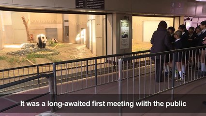 Baby panda makes press debut at Japan zoo