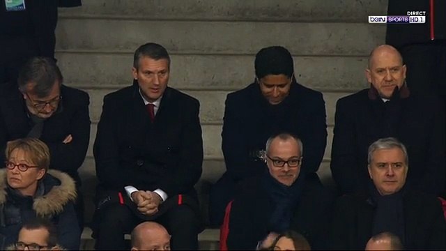 Des tortues Ninja s'invitent sur la pelouse du match Rennes-PSG