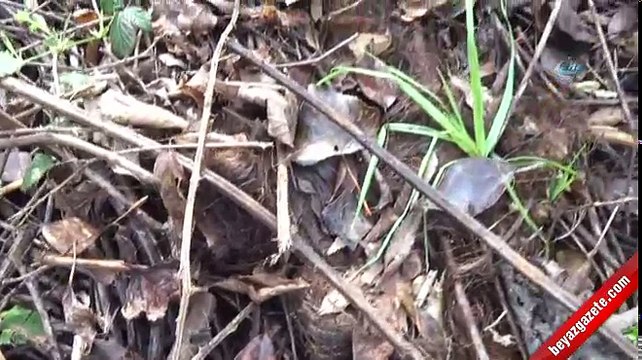 Öldürdüğü kadının cesediyle 900 kilometre yol katetti