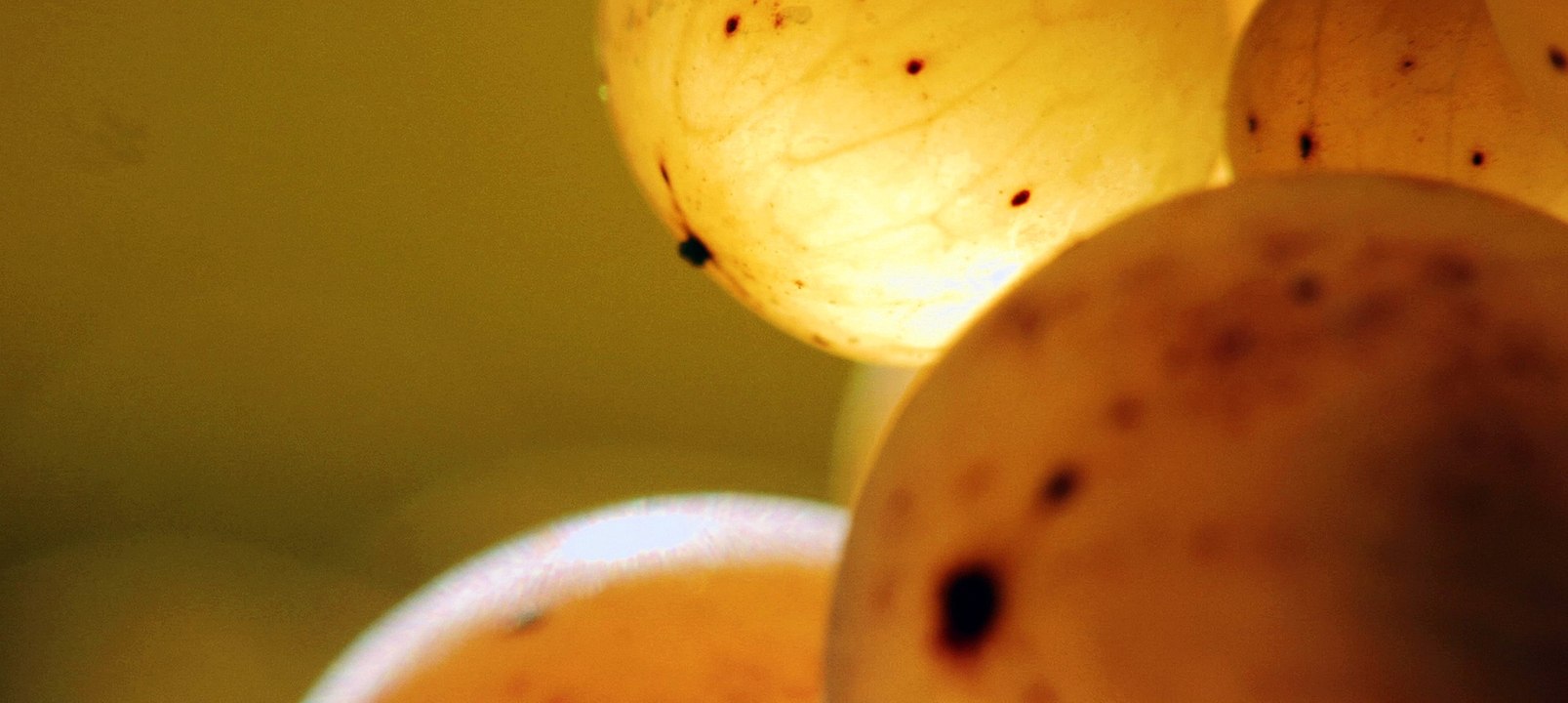 voeux CIVA 2018 - FR