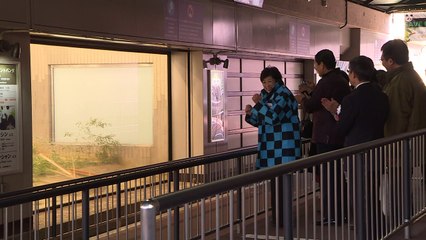 Un zoo de Tokyo présente son bébé panda né il y a 6 mois