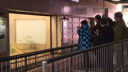 Un zoo de Tokyo présente son bébé panda né il y a 6 mois