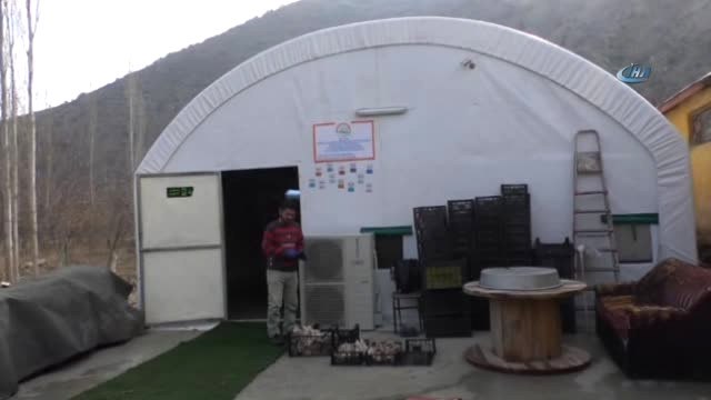 Devletten Aldığı Destekle Kurduğu Tesiste Ayda 1 Ton Mantar Üretiyor