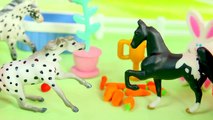Baby Shower - Breyer Mini Whinnies Foaling Fear Part 17 Horses Movie Breyers Honeyheartsc Video