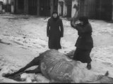 Edit Bitva za nashu Sovetskuyu Ukrainu AKA Ukraine in Flames (1943) [2]