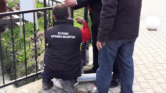 Sokak hayvanları 'beslenme apartları' sayesinde aç kalmayacak - KIRKLARELİ