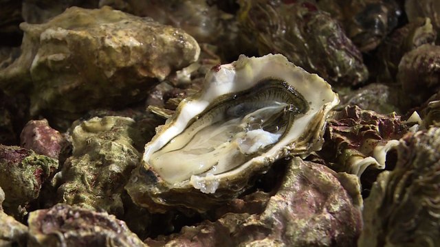 Première mondiale en France: des huîtres parfumées