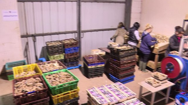 Première mondiale en France: des huîtres parfumées