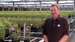 The Florida Fresh Foliage and Flower Tour Visits Roseville Farms.-KN2rNQyyT0E