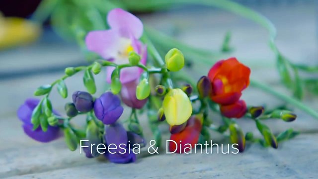 Unusual flower arrangement _ Inspired by Florists _ Iris van Werkhoven-SeVA-p9POs8