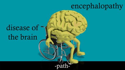Medical Terminology Video Tutorial: The Word Root "-path-"