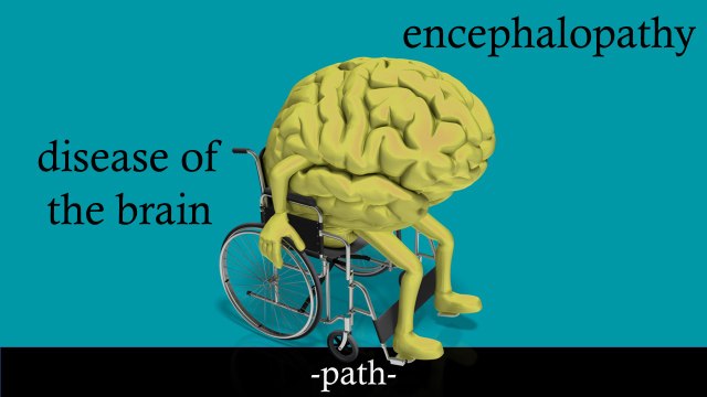 Medical Terminology Video Tutorial: The Word Root -path-