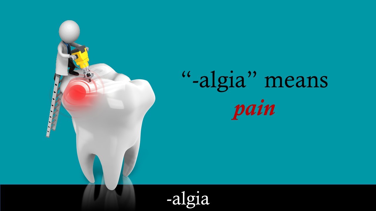 Medical Terminology Video Tutorial The Suffix "algia" video Dailymotion
