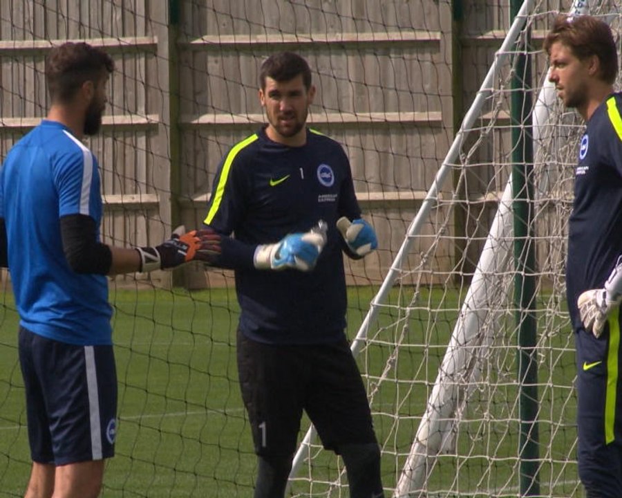 Brighton are hitting goals set at the start of the season - Ryan