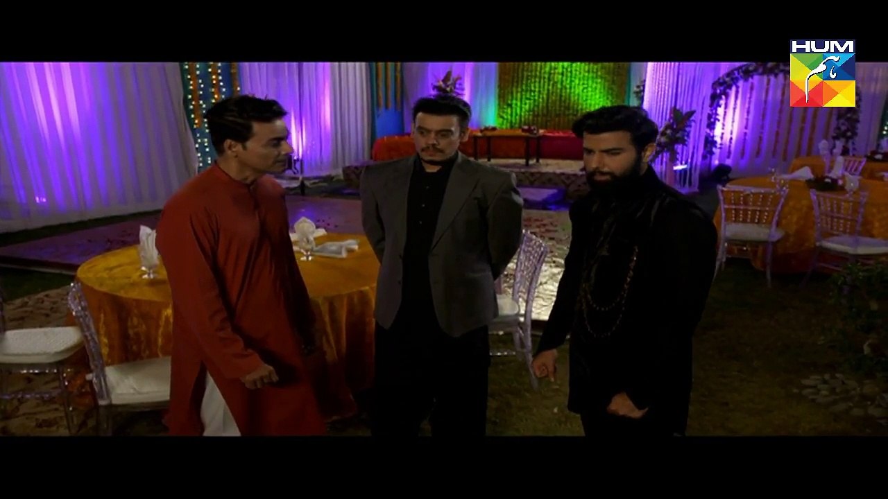Pagli Episode 17 Part 3 HUM TV Drama  18 December 2017