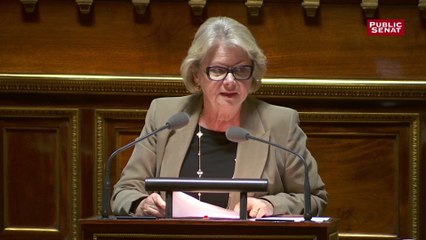 Loi hydrocarbures : Françoise Férat (UC) évoque une CMP « ubuesque »