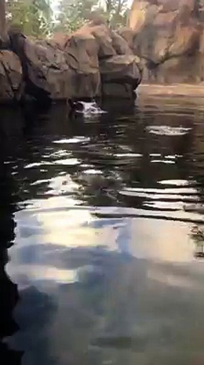Fiona the astronaut