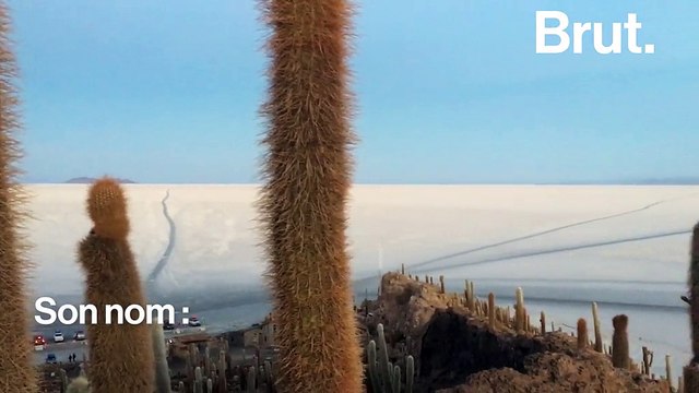 En Bolivie, la richesse du magnifique désert Salar d’Uyuni pourrait aussi mener à sa destruction