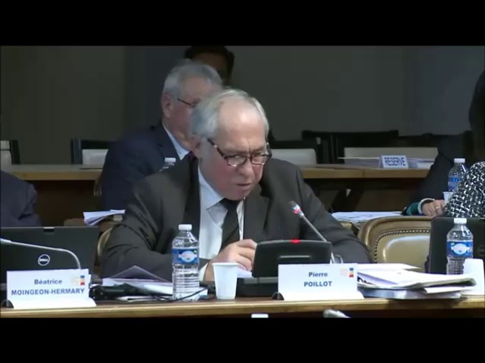 Pierre POILLOT. Budget et tarifs 2018 pour le MuseoParc Alésia. Session du 18 décembre 2017
