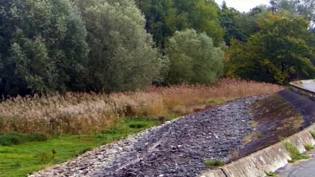 L'arrivée des grues cendrées au lac du Der