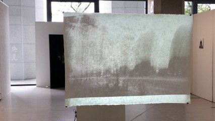 Understanding Linear Functions 📈