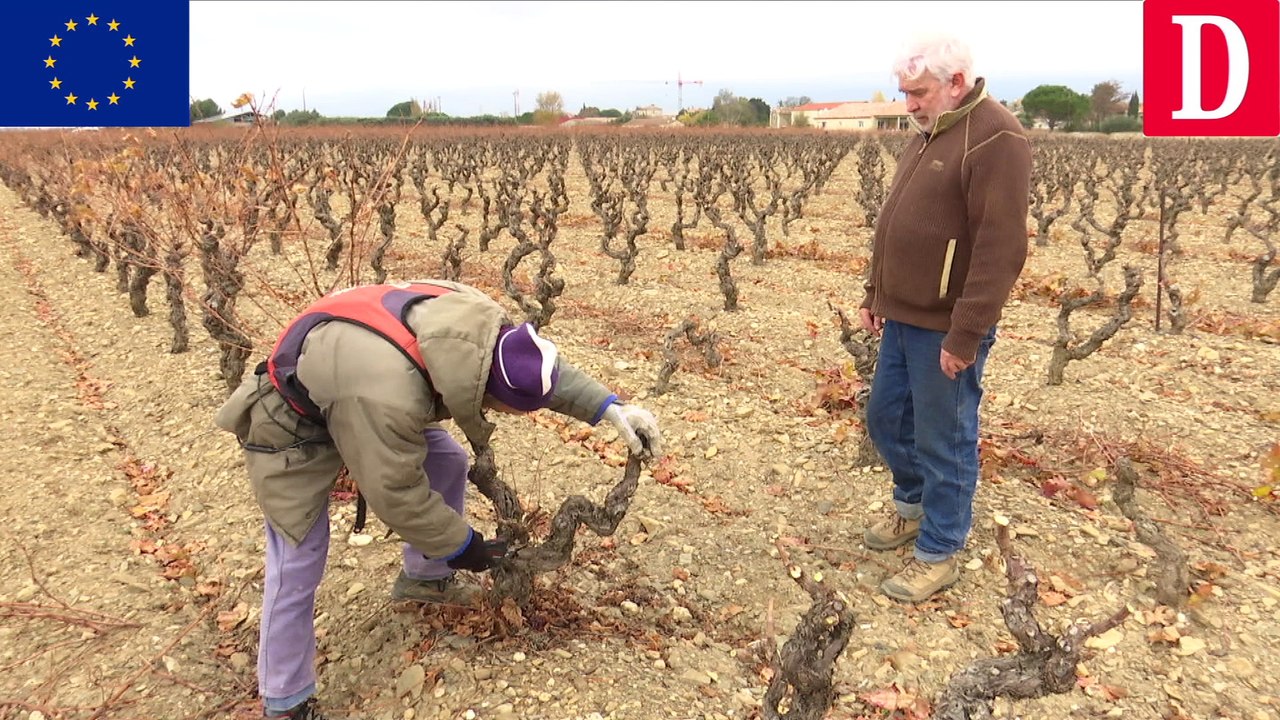 PAC : Rencontre avec un vigneron du Minervois