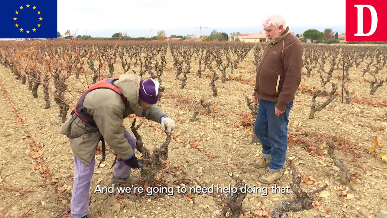 PAC : Rencontre avec un vigneron du Minervois (anglais)