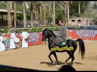 لمين الوسيعي