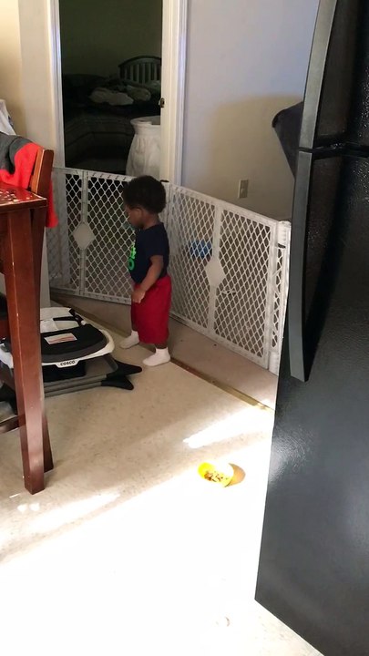 Baby Gate Fail