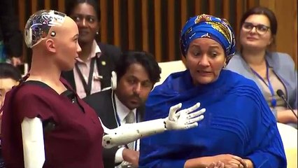 UN Deputy Chief Interviews Social Robot Sophia